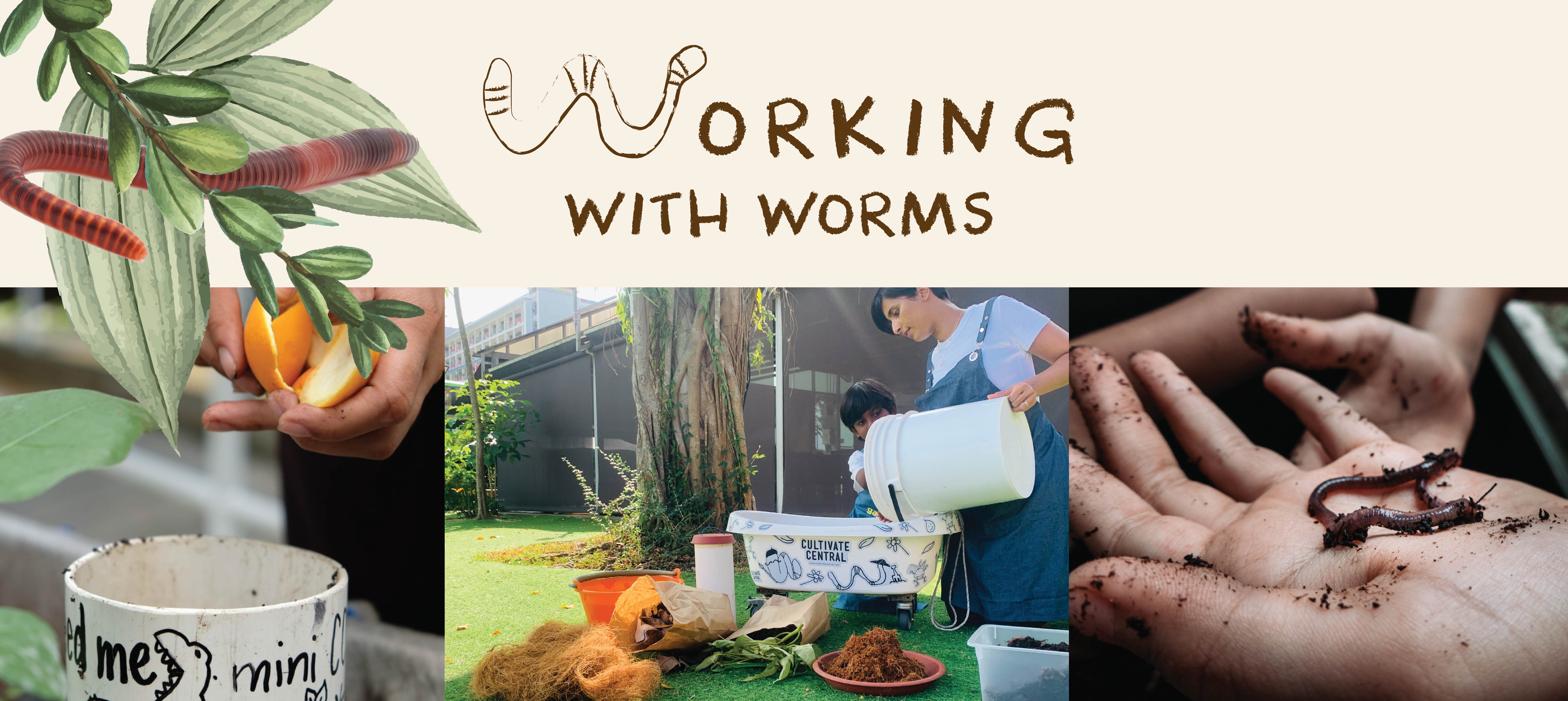 FE_WorkingWithWorms_Banner.jpeg